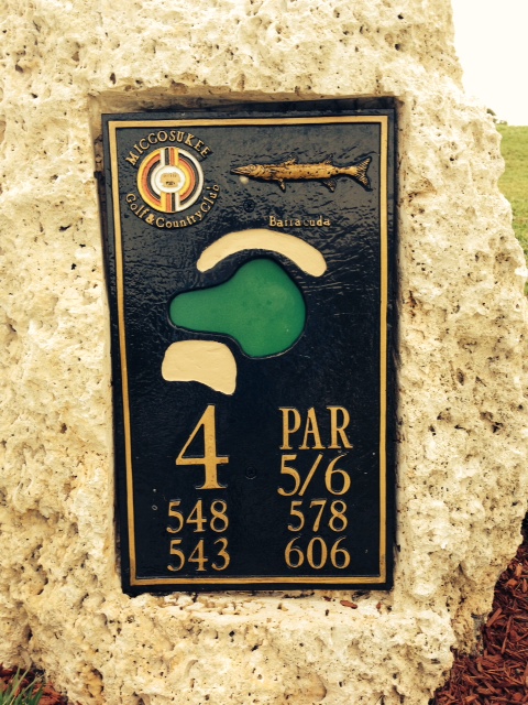 par 5 y 6